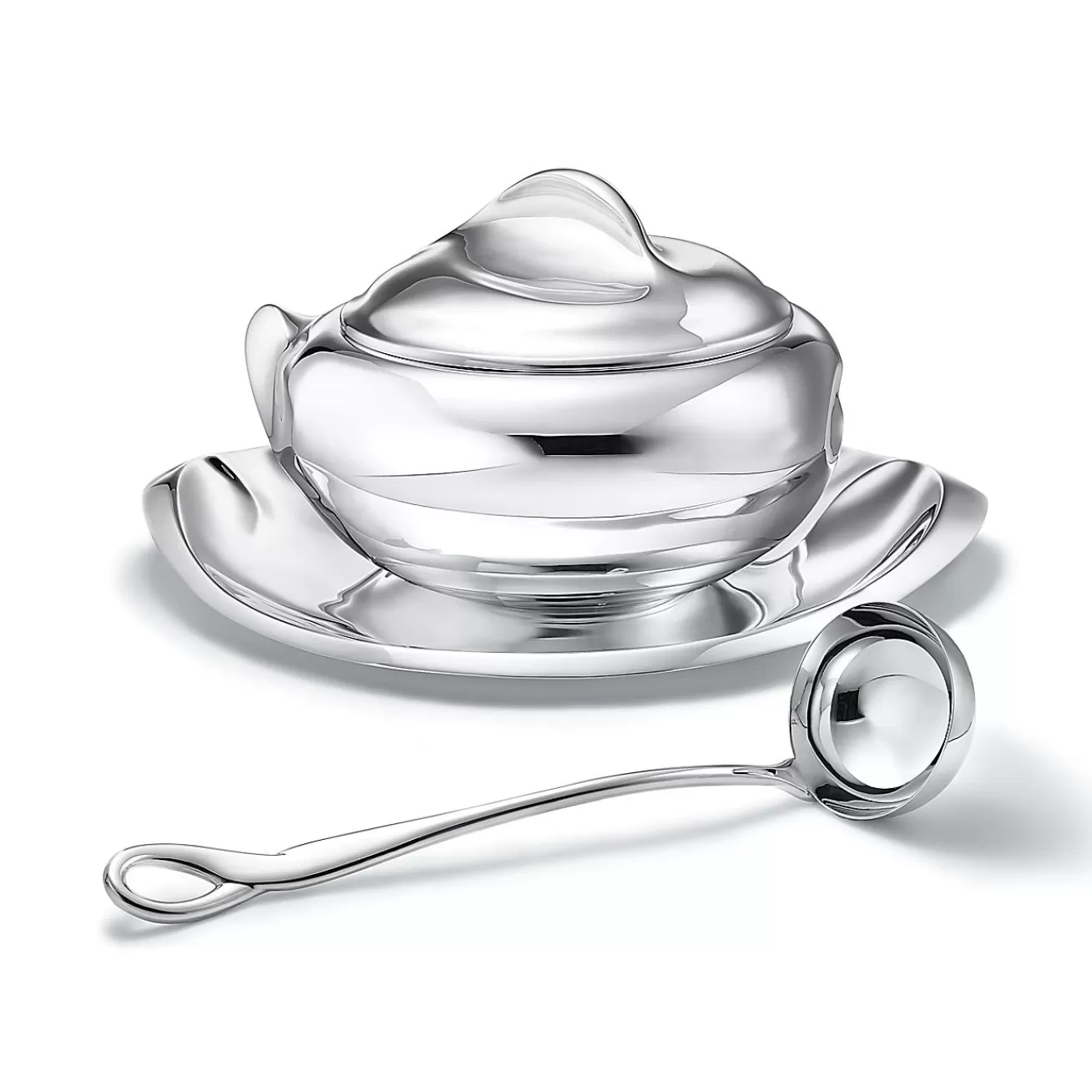 Tiffany & Co. Elsa Peretti® Padova™ ladle in sterling silver. | ^ Elsa Peretti® | Tableware