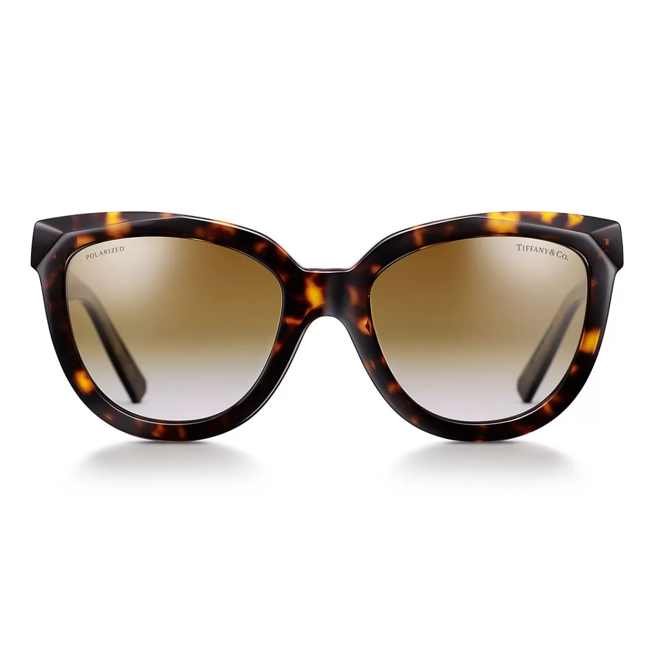 Tiffany & Co. Tiffany T True Sunglasses in Tortoise Acetate with Brown Gradient Lenses | ^Women Tiffany T | Sunglasses