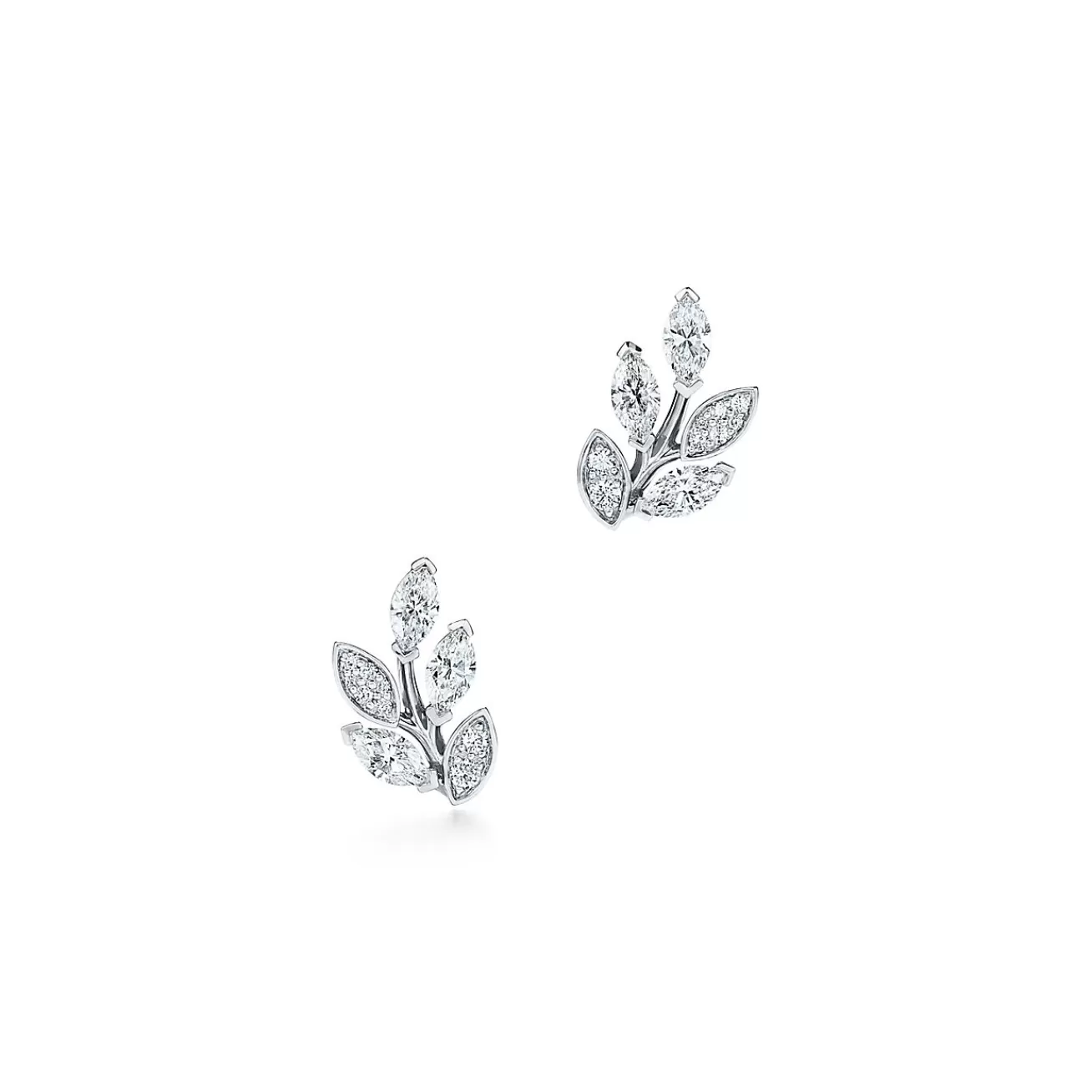 Tiffany & Co. Tiffany Victoria® diamond vine earrings in platinum, small. | ^ Earrings | Gifts for Her