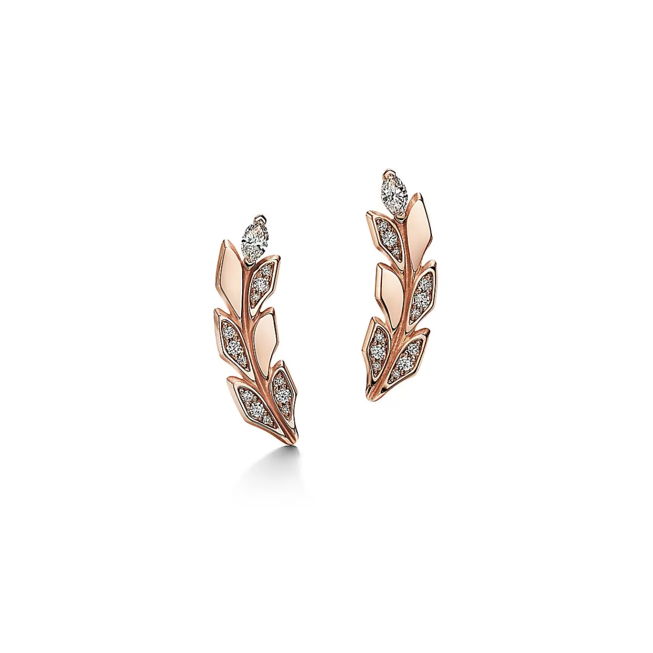 Tiffany & Co. Tiffany Victoria® Vine Climber Earrings in Rose Gold with Diamonds | ^ Earrings | Gifts for Her
