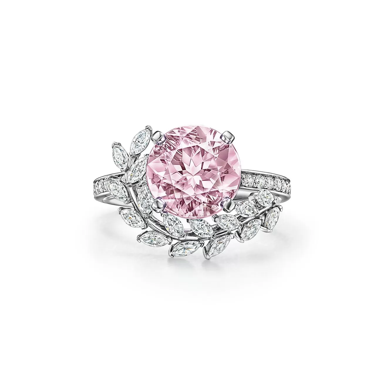 Tiffany & Co. Tiffany Victoria® Vine Ring in Platinum with a Morganite and Diamonds | ^ Rings | Platinum Jewelry